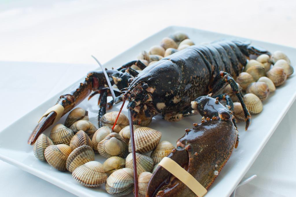 Hotel Restaurante Loureiro Bueu Eksteriør billede